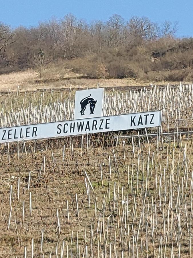 Fewo Siemens Mosel Zell an der Mosel Exteriör bild